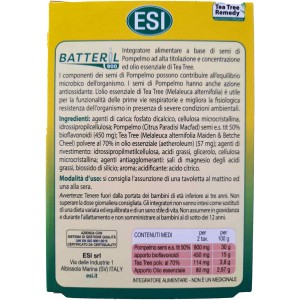 Esi batteril 900 2