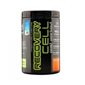 NET recovery cell liposomiale 330 gr arancia
